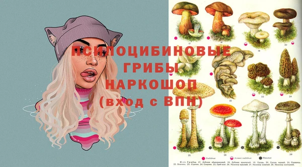 прущий лед Сясьстрой